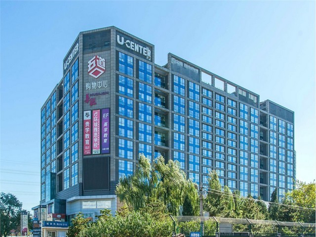 临沂野生茶树菇干货加工